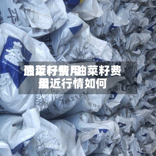 油菜籽费用最近行情/油菜籽费用最近行情如何-第3张图片