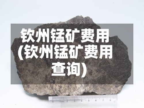 钦州锰矿费用(钦州锰矿费用查询)-第3张图片