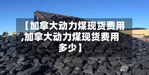 【加拿大动力煤现货费用,加拿大动力煤现货费用多少】
