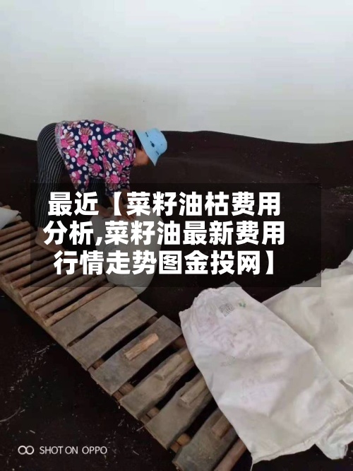 最近【菜籽油枯费用分析,菜籽油最新费用行情走势图金投网】-第3张图片