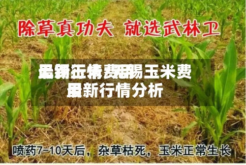 无锡玉米费用最新行情/无锡玉米费用最新行情分析-第2张图片