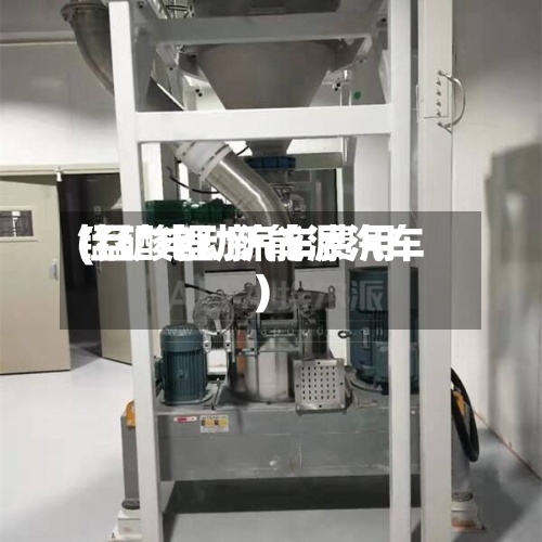 锰矿电动汽车费用(锰酸锂 新能源汽车)-第3张图片