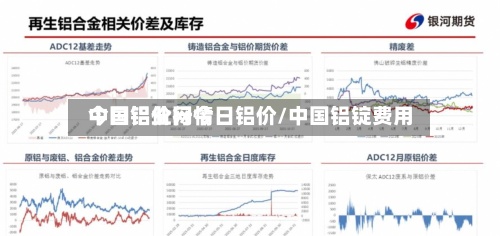 中国铝业网今日铝价/中国铝锭费用今日铝价行情-第3张图片