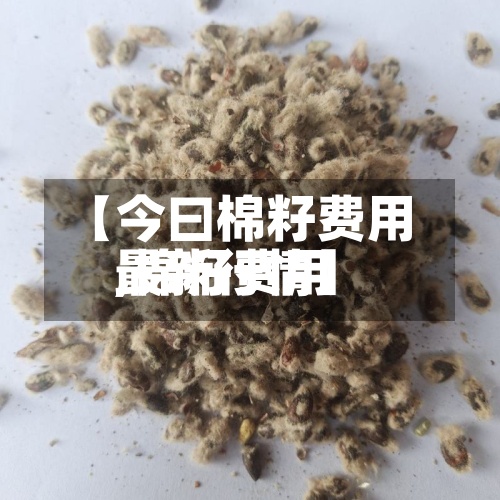 【今曰棉籽费用,棉籽费用最新行情】