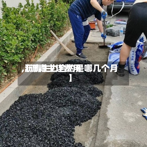 【沥青主连费用,沥青主力合约是哪几个月】