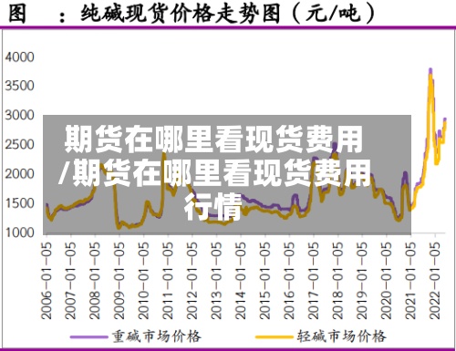 期货在哪里看现货费用/期货在哪里看现货费用行情-第2张图片