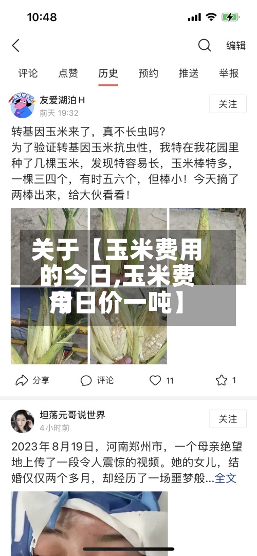 关于【玉米费用的今日,玉米费用今日价一吨】