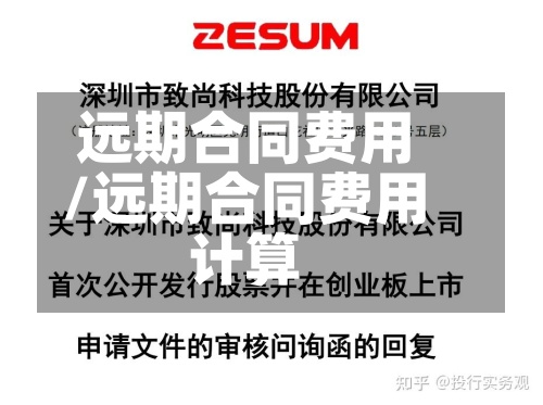 远期合同费用/远期合同费用计算-第3张图片