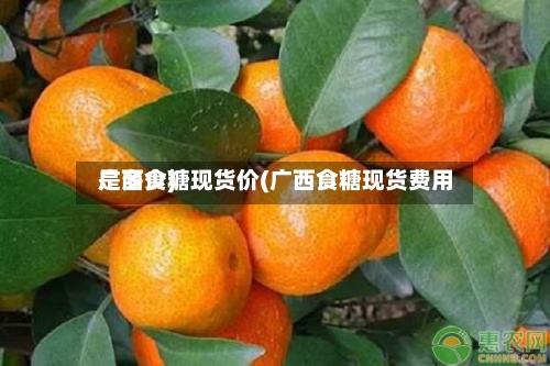 广西食糖现货价(广西食糖现货费用是多少)