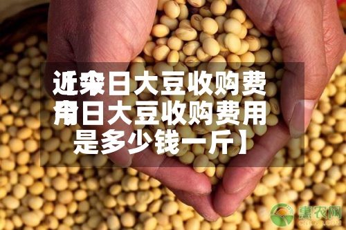 近来【今日大豆收购费用今日大豆收购费用是多少钱一斤】