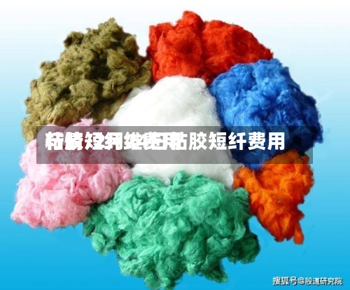 粘胶短纤维费用行情/2月24日粘胶短纤费用