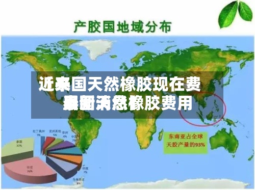 近来【泰国天然橡胶现在费用泰国天然橡胶费用最新消息】-第2张图片
