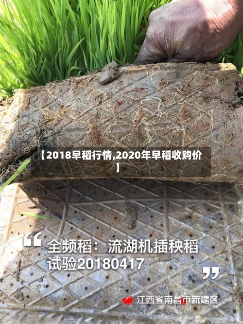 【2018早稻行情,2020年早稻收购价】