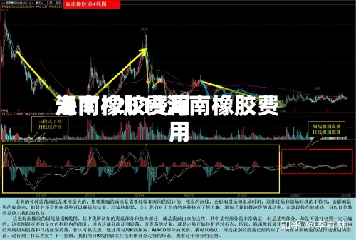 海南橡胶费用走向/2013海南橡胶费用-第2张图片