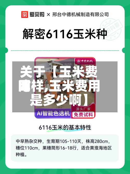 关于【玉米费用咋样,玉米费用是多少啊】-第3张图片