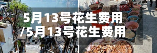 5月13号花生费用/5月13号花生费用多少