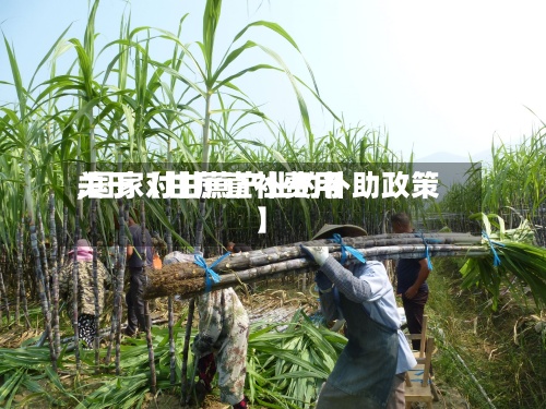 关于【甘蔗直补费用,国家对甘蔗产业的补助政策】-第3张图片