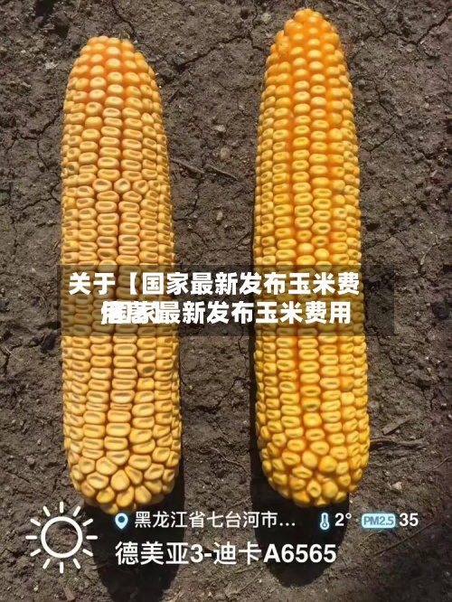 关于【国家最新发布玉米费用
,国家最新发布玉米费用
信息】-第2张图片