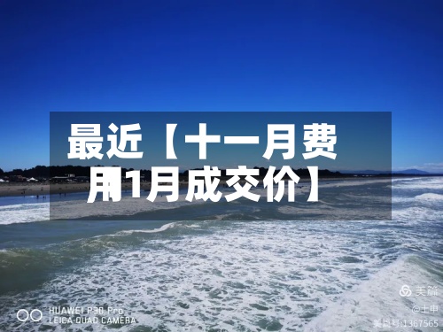 最近【十一月费用,11月成交价】
