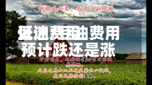豆油费用低迷/豆油费用预计跌还是涨-第2张图片