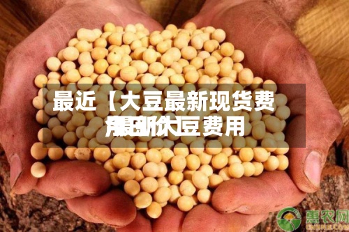 最近【大豆最新现货费用,最新大豆费用今日价】-第2张图片