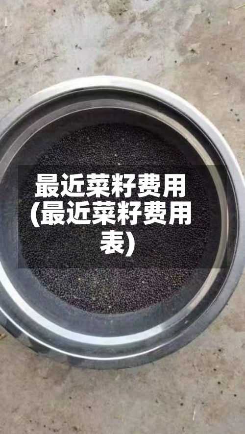 最近菜籽费用(最近菜籽费用表)-第2张图片