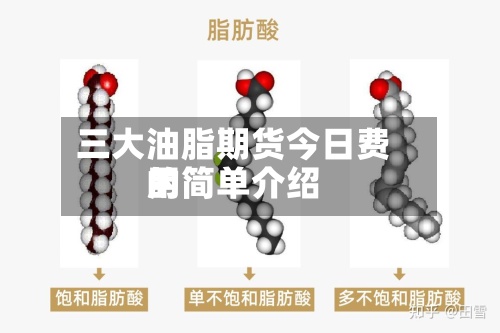 三大油脂期货今日费用的简单介绍