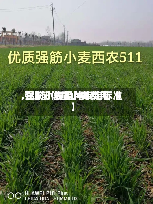 【强筋优质小麦费用
,强筋小麦品种审定标准】-第2张图片