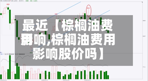 最近【棕榈油费用
影响,棕榈油费用
影响股价吗】-第2张图片