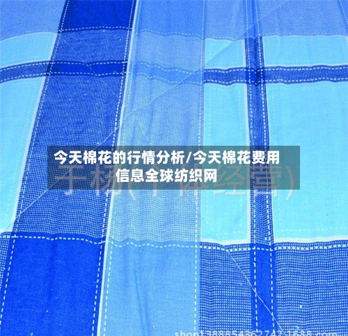 今天棉花的行情分析/今天棉花费用信息全球纺织网