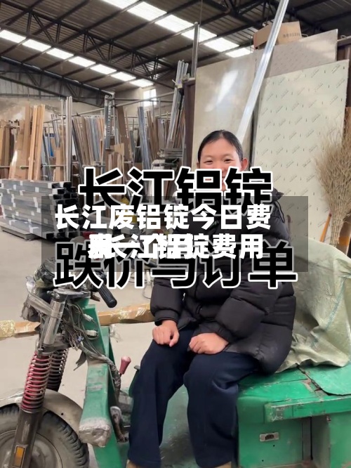 长江废铝锭今日费用/长江铝锭费用表一个月