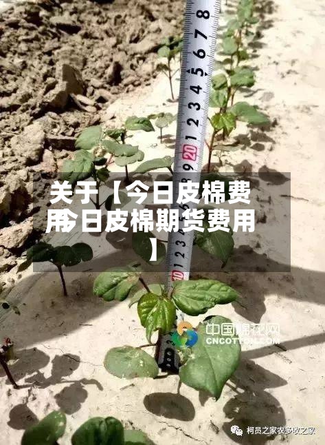 关于【今日皮棉费用,今日皮棉期货费用】