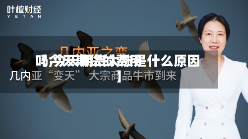 【今天期货的费用吗,今天期货大涨是什么原因】-第3张图片