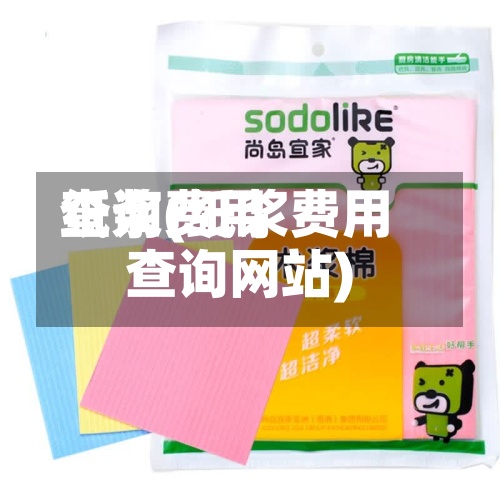 纸浆费用
查询(纸浆费用
查询网站)-第2张图片
