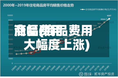 商品费用涨幅(商品费用大幅度上涨)