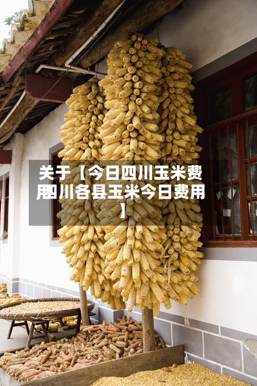 关于【今日四川玉米费用
,四川各县玉米今日费用
】-第3张图片