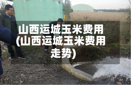 山西运城玉米费用(山西运城玉米费用走势)