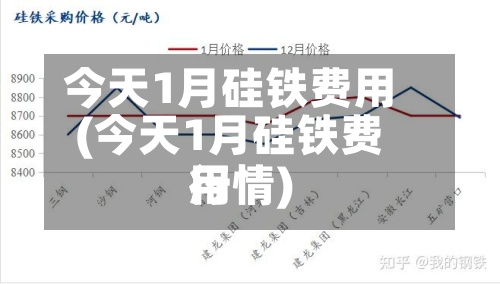 今天1月硅铁费用(今天1月硅铁费用行情)