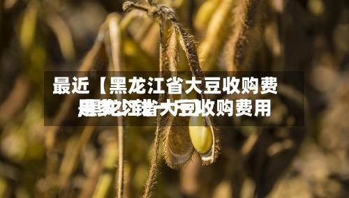最近【黑龙江省大豆收购费用,黑龙江省大豆收购费用是多少钱一斤】