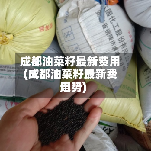 成都油菜籽最新费用
(成都油菜籽最新费用
走势)-第2张图片
