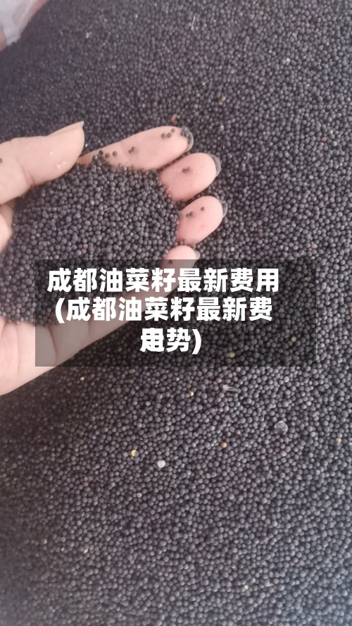 成都油菜籽最新费用(成都油菜籽最新费用走势)