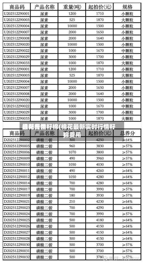 棉花费用最新行情籽棉(棉花最新实时行情籽棉费用)-第2张图片