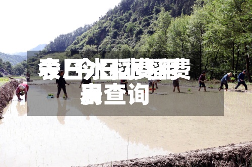 今日水稻费用表/今日水稻费用表查询