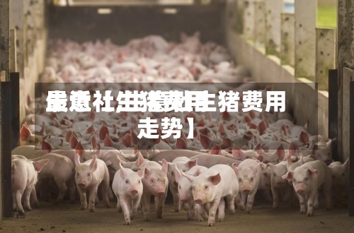 最近【生猪费用生意社,生意社生猪费用走势】