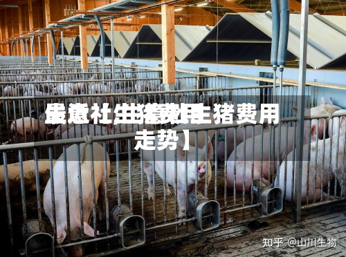 最近【生猪费用
生意社,生意社生猪费用
走势】-第2张图片
