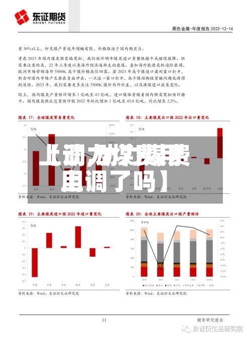 【动力煤费用上调,动力煤费用上调了吗】