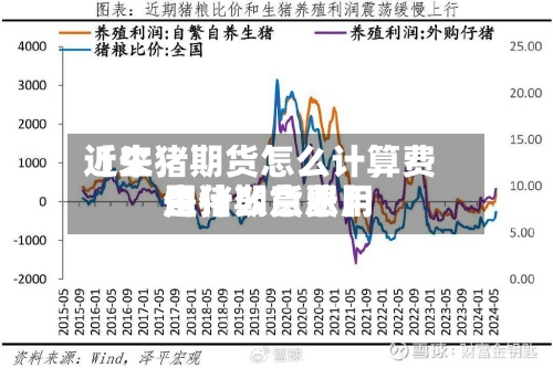 近来【生猪期货怎么计算费用生猪期货费用是什么意思】