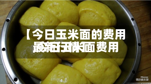 【今日玉米面的费用
,今日玉米面费用
最新行情】-第3张图片