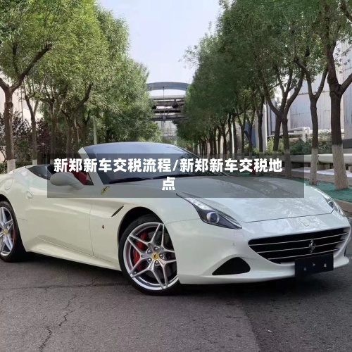 新郑新车交税流程/新郑新车交税地点-第3张图片