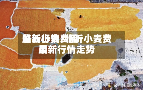 临沂小麦费用
最新行情/临沂小麦费用
最新行情走势-第2张图片